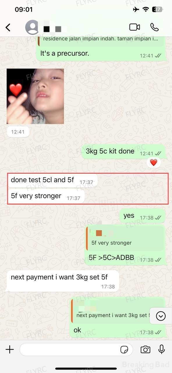 Tld7Bg1PEW