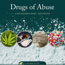 Drugs of Abuse 2020